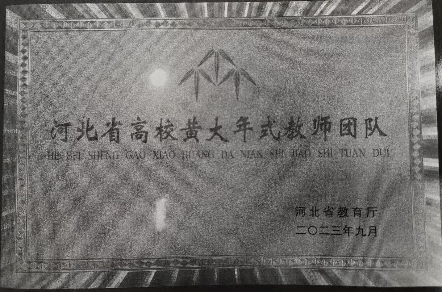 河北省高校黄大年式教学团队